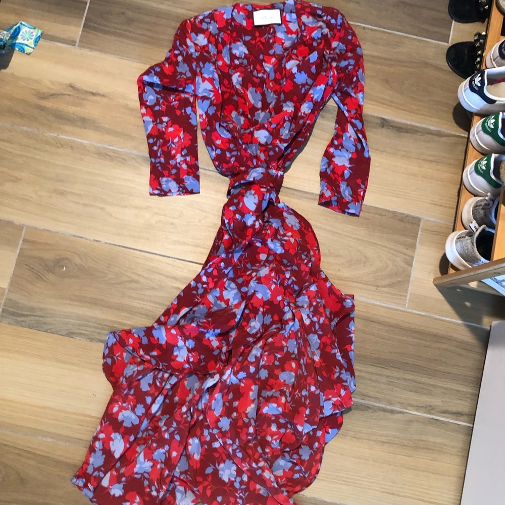 Alexis XS silk dress